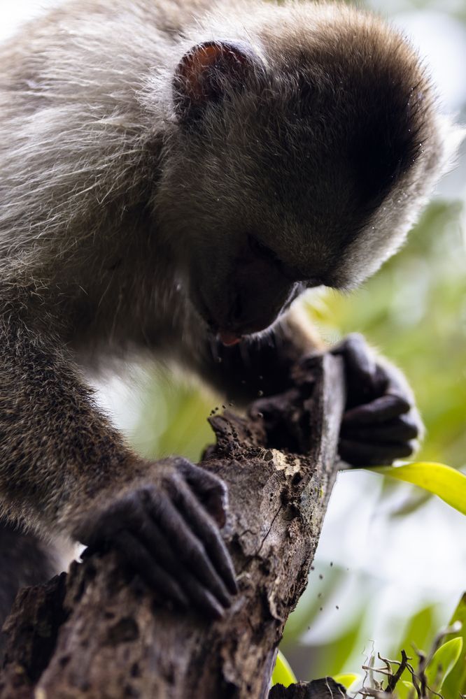 Photograph by Иван Соловьёв