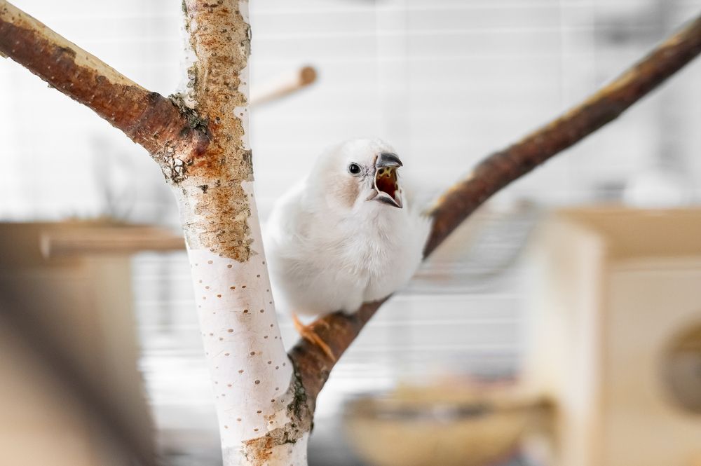 Photograph by Svetlana Soboleva