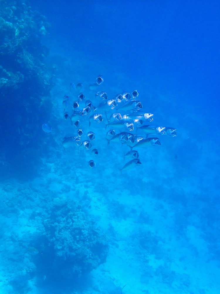 Photograph by Иван Соловьёв