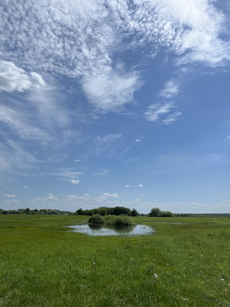 Фотография автора Мария Жукова
