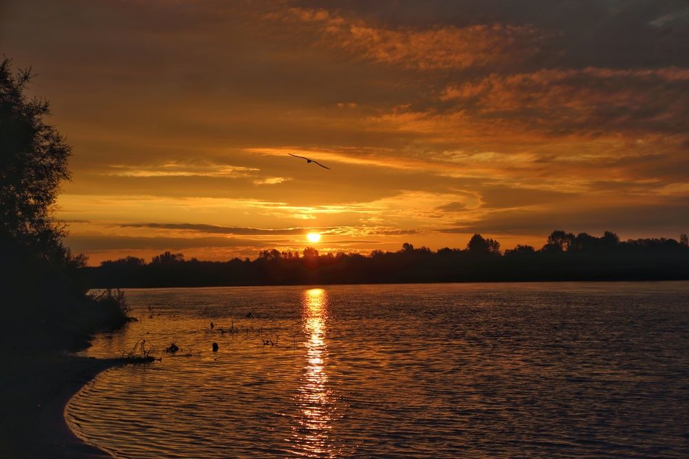 Photograph by Антон Градобоев