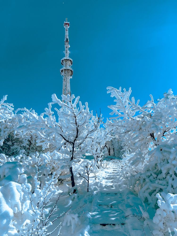 Photograph by Igor M.