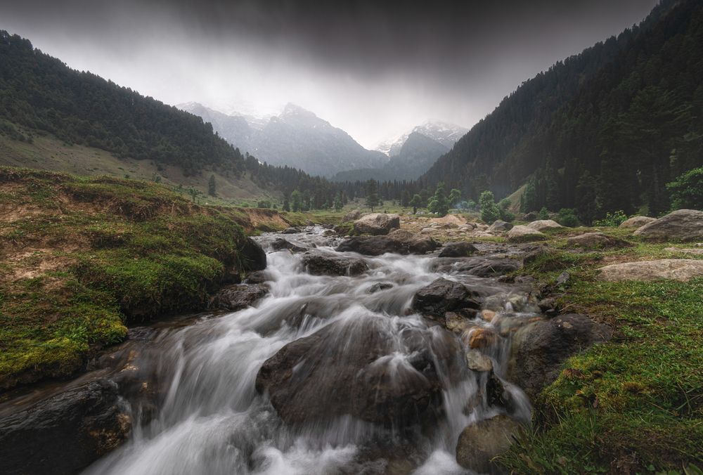 Фотография автора Akashdeep Puri