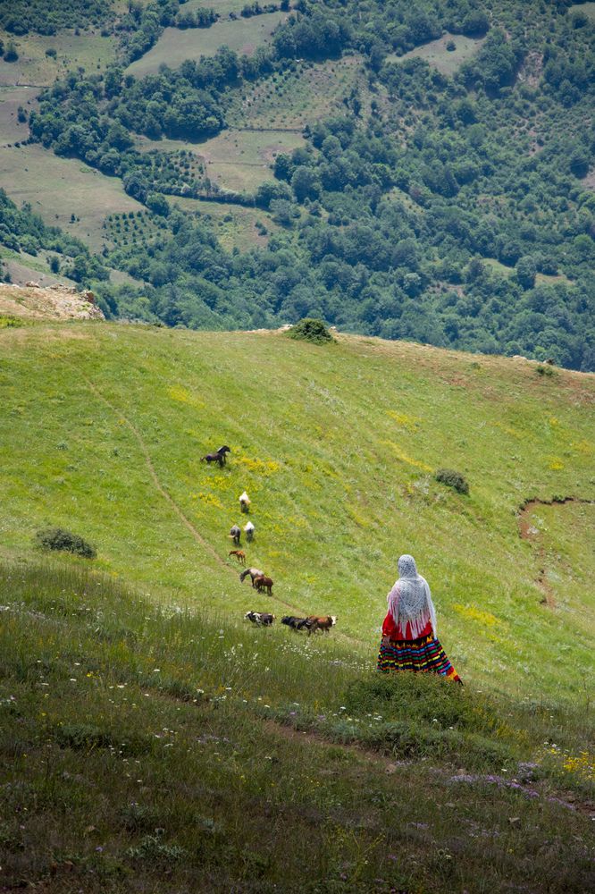 Photograph by Pourya Farajpour