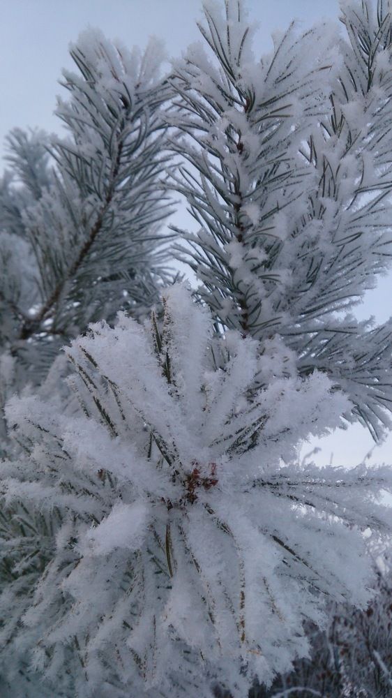 Photograph by Инесса Глухова