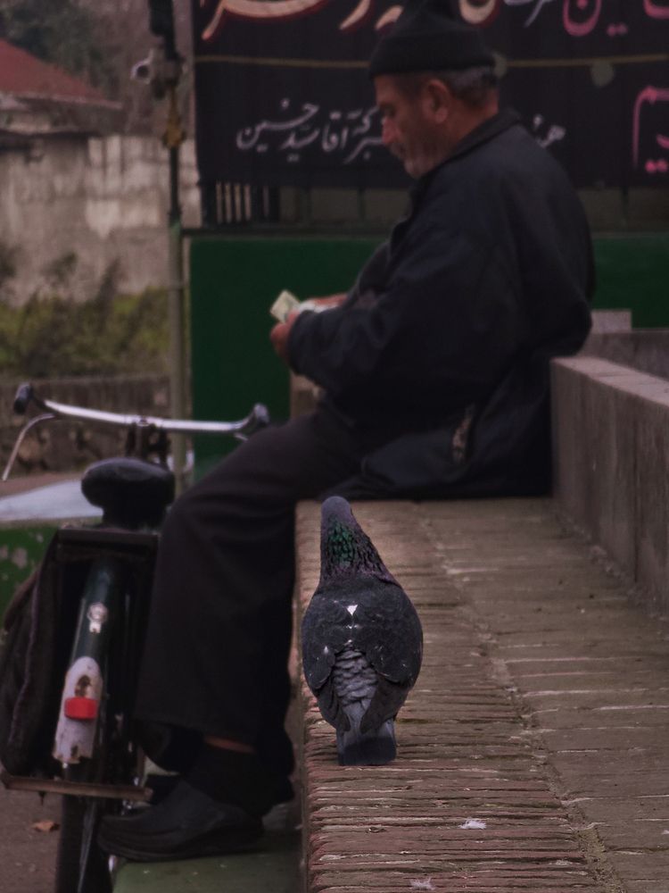 Photograph by Pourya Farajpour