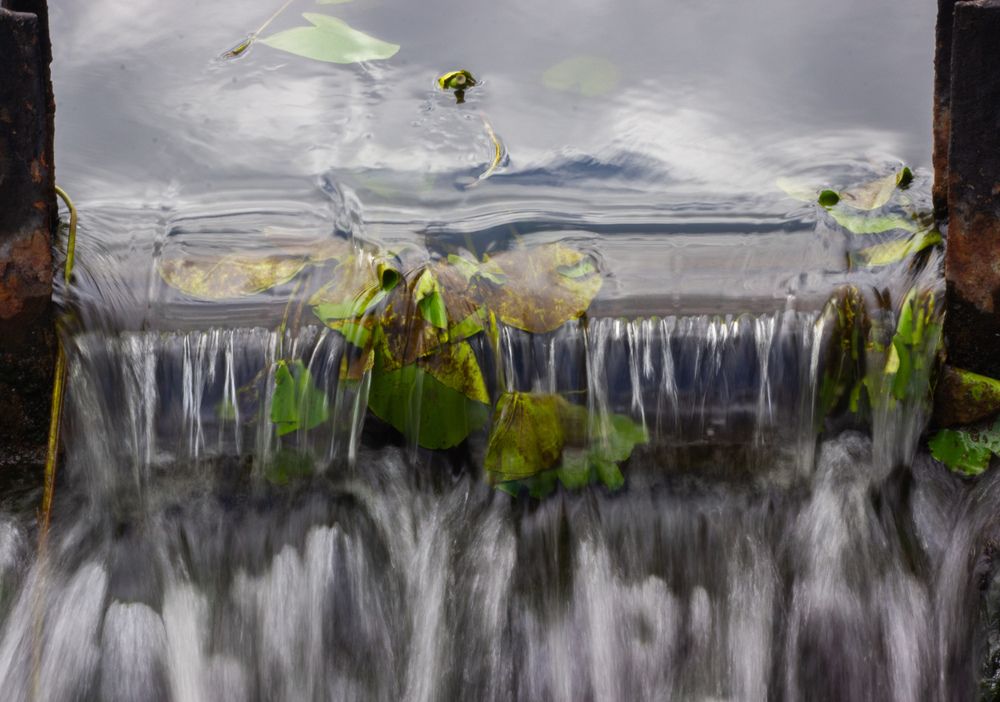 Фотография автора Кирилл Бражников