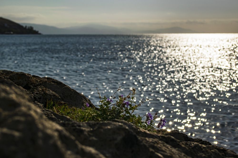 Photograph by Алина