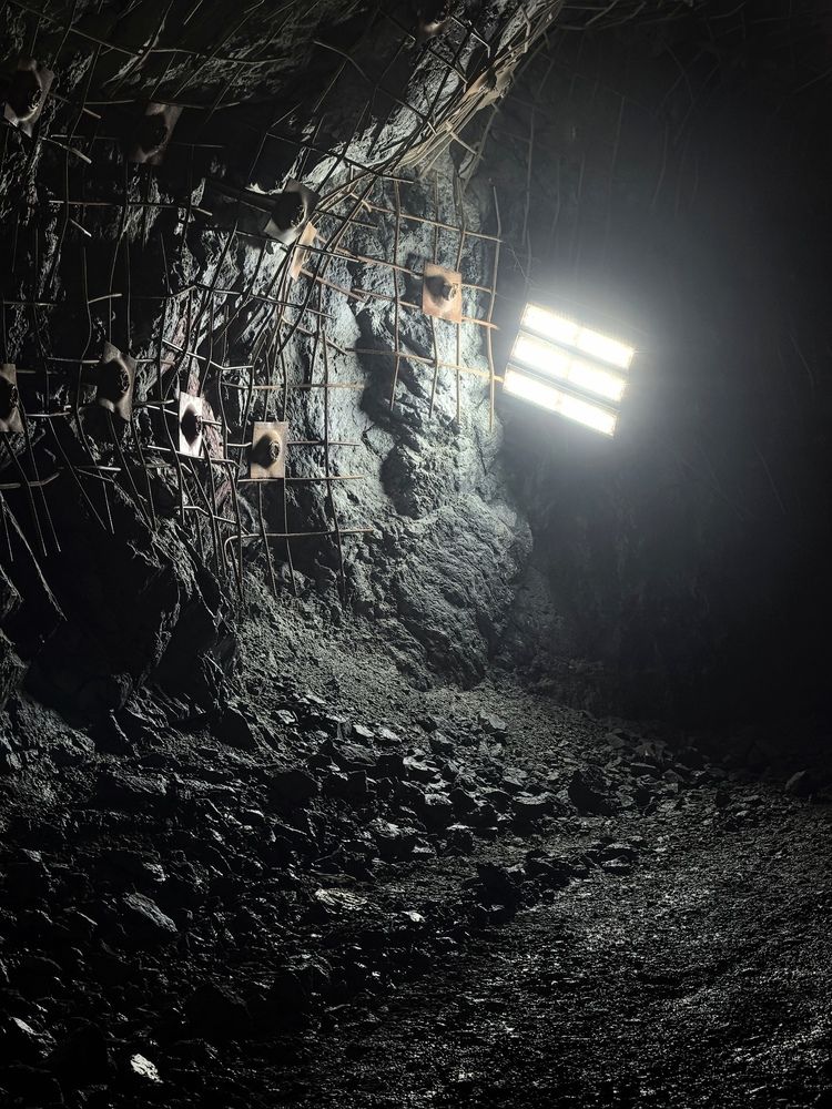 Photograph by Никита Рысев