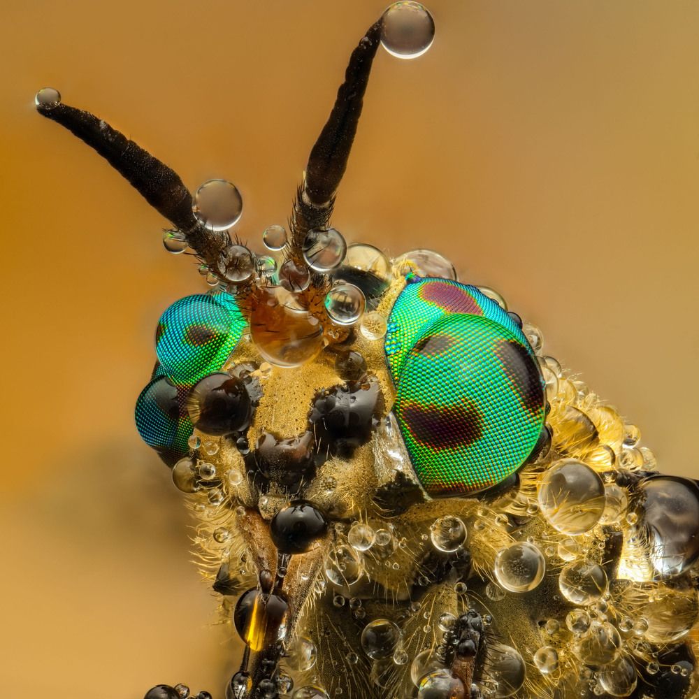 Photograph by Юрий Юрьевич Подгрушный