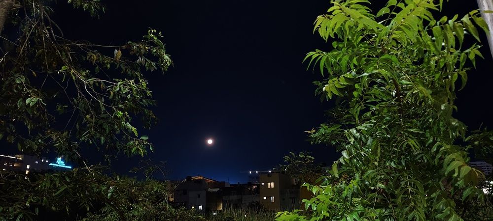 Photo #12003185