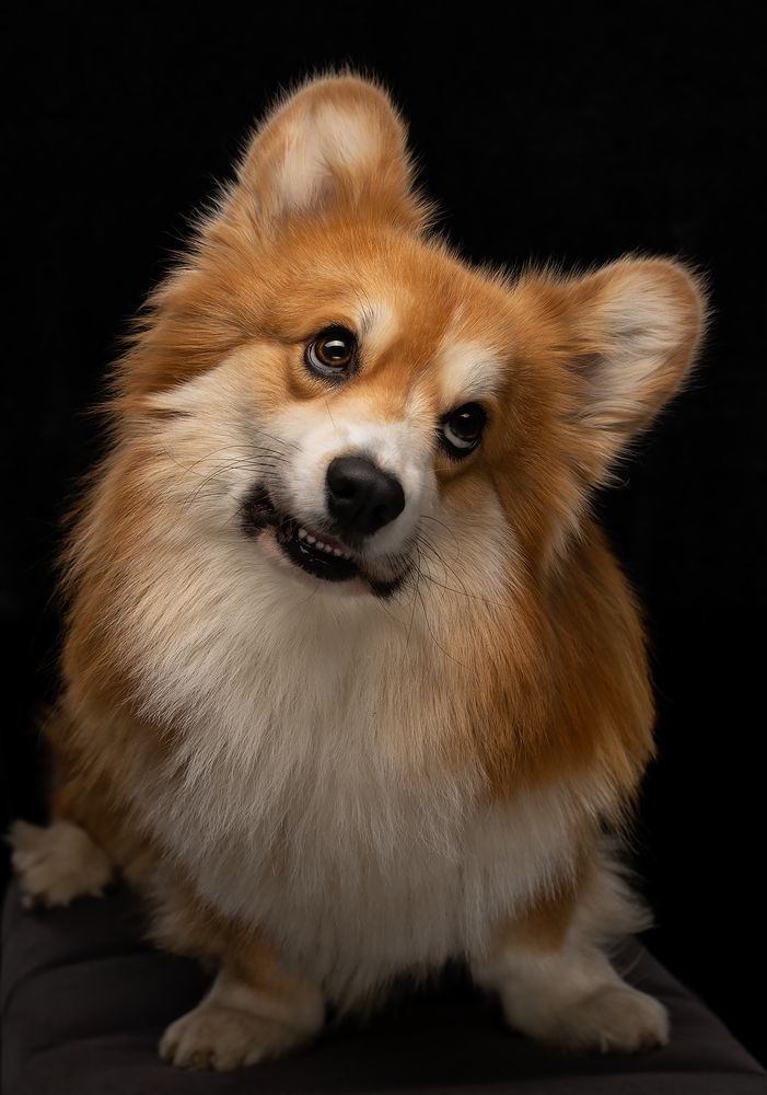 Фотография автора Роман Москвичев