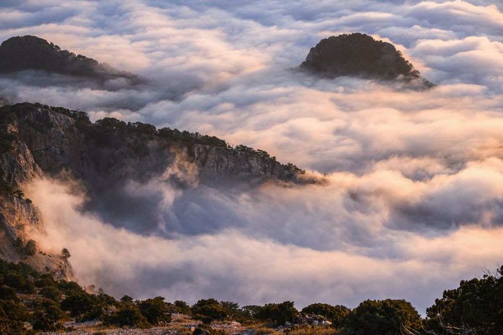 Photograph by Gerasimov Anton