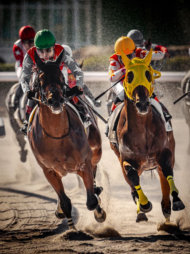 The Thrill of the Race