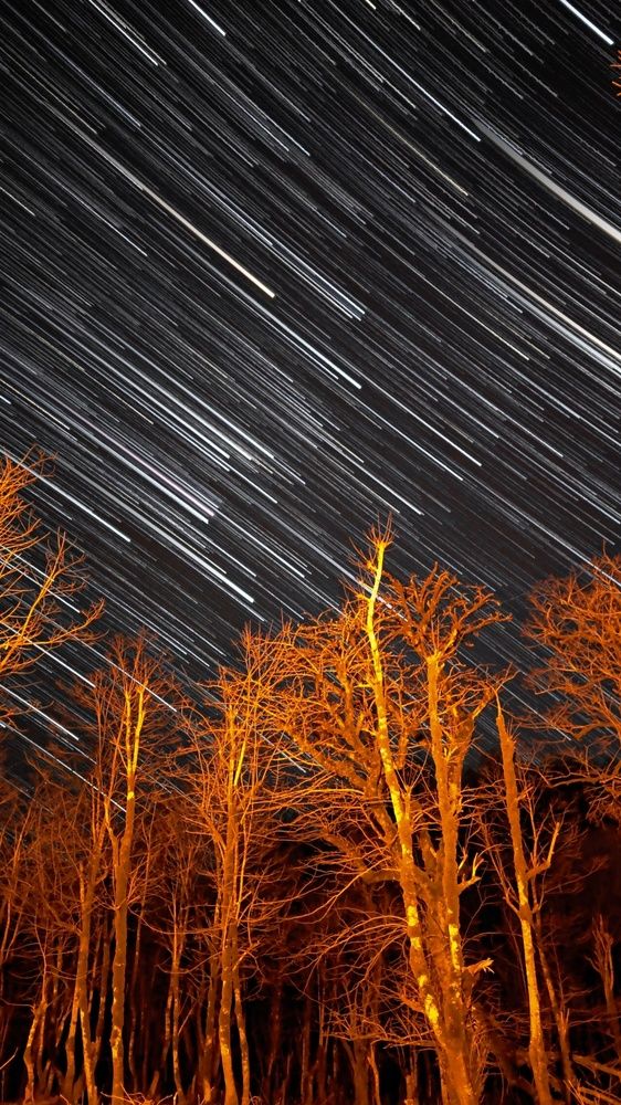 Photograph by Pourya Farajpour