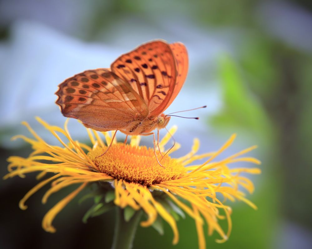 Photograph by Кольцова Мария