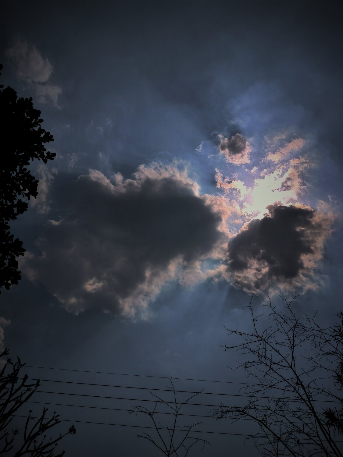 Photo #12003240
