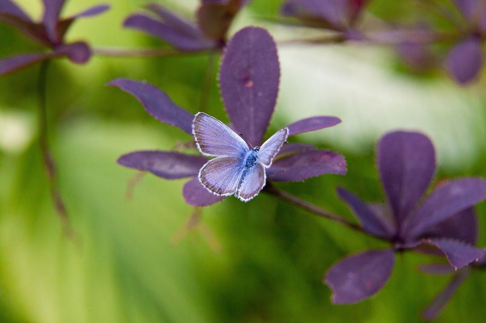Photograph by Кольцова Мария
