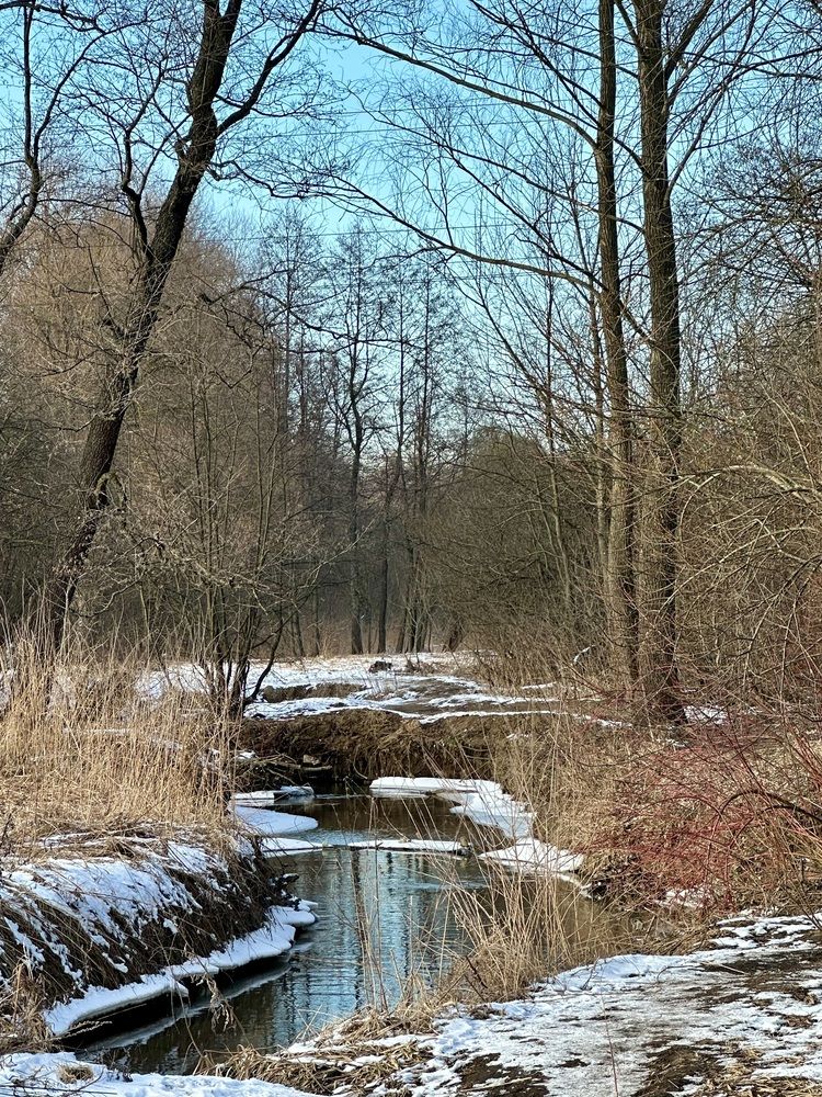 Photograph by Ольга Большакова