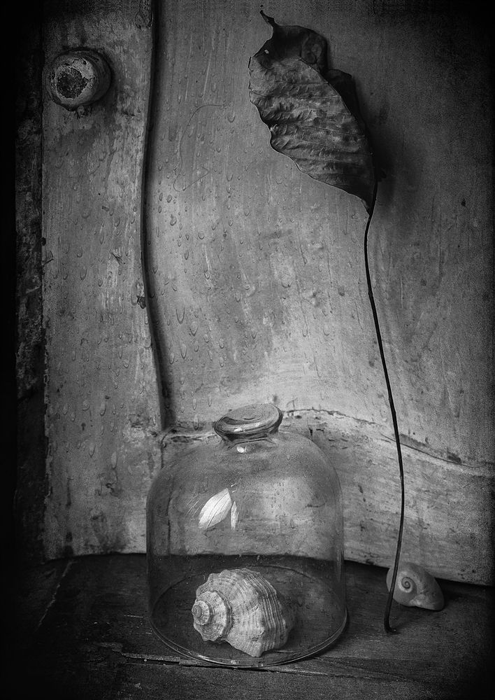 Photograph by Александр Хромеев