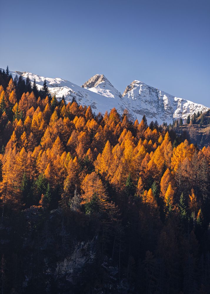 Photograph by Сергей Быков