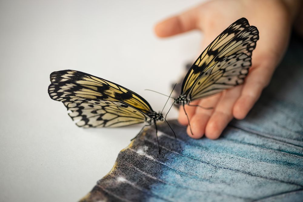 Photograph by Елизавета Богданова