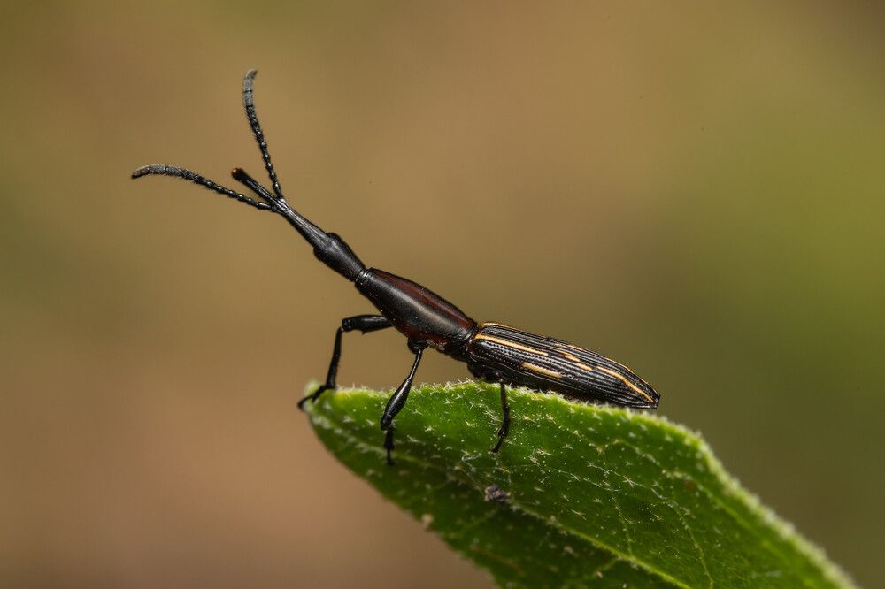 Photograph by MARÍA CECILIA REY