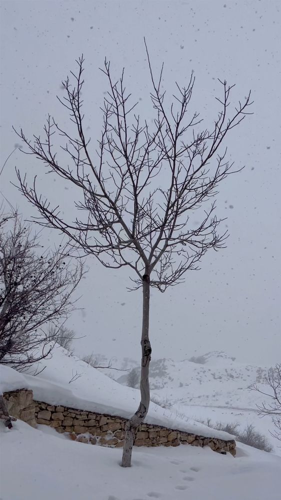 Photograph by Hiba Kallas