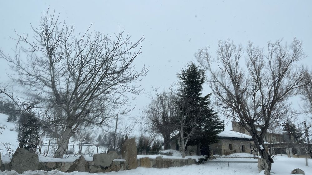 Photograph by Hiba Kallas