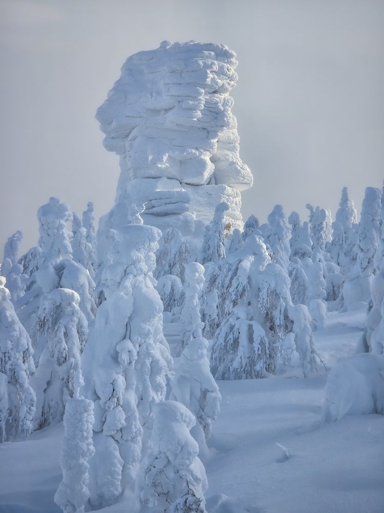 Photograph by Василий Яковлев
