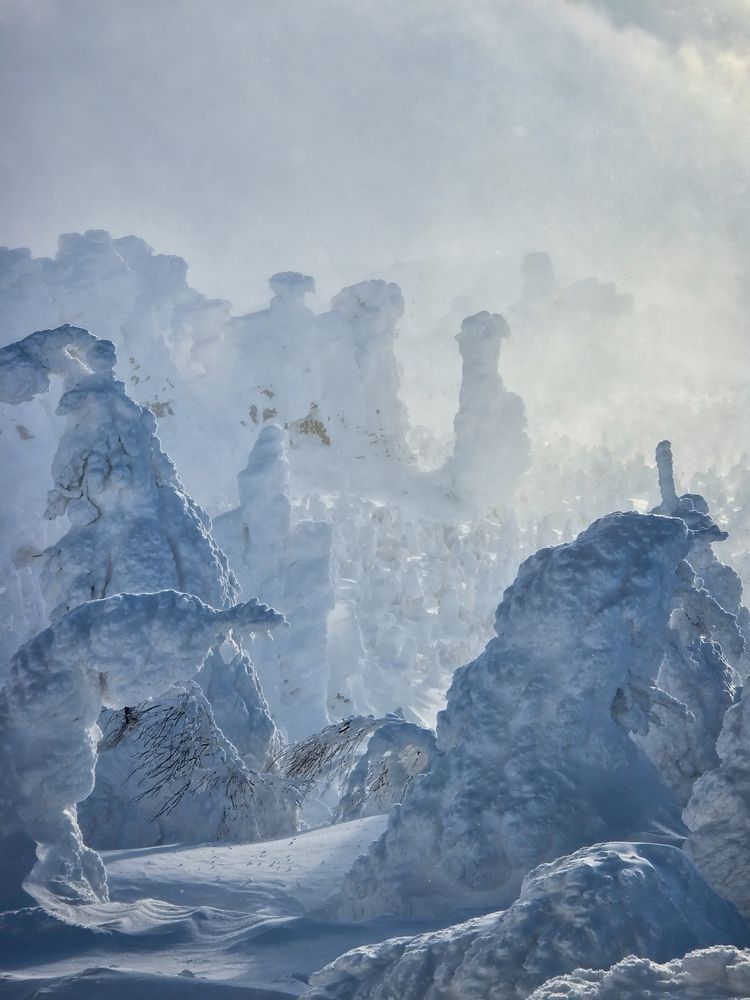 Photograph by Василий Яковлев