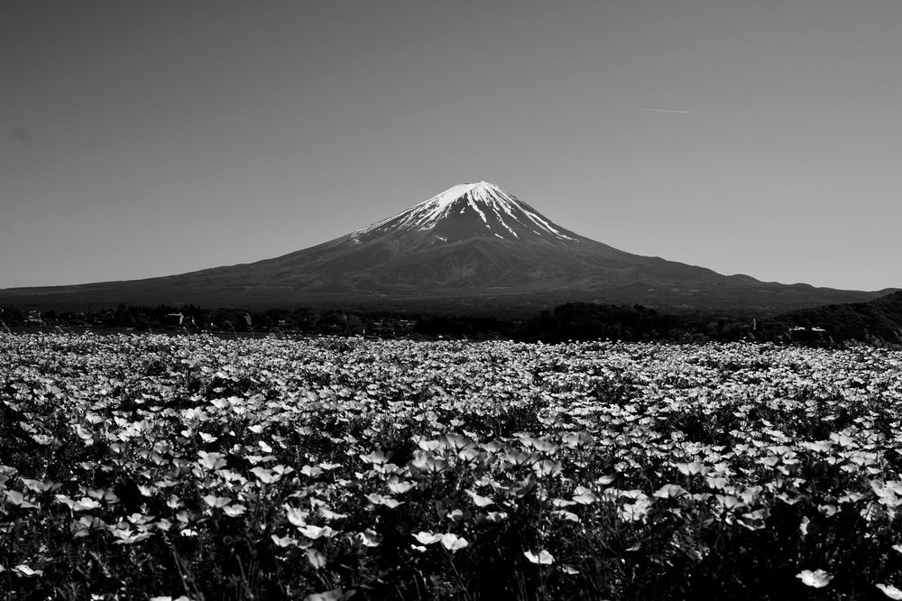 Фотография автора Liudmila Kiermeier