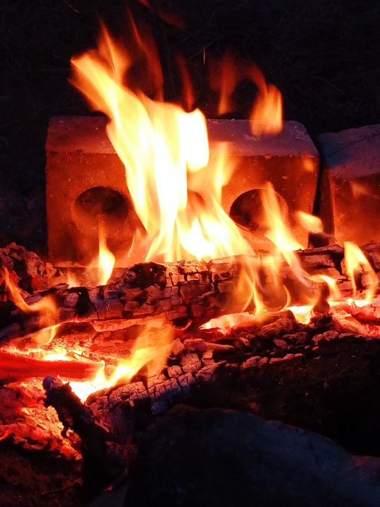 Photo #12003570
