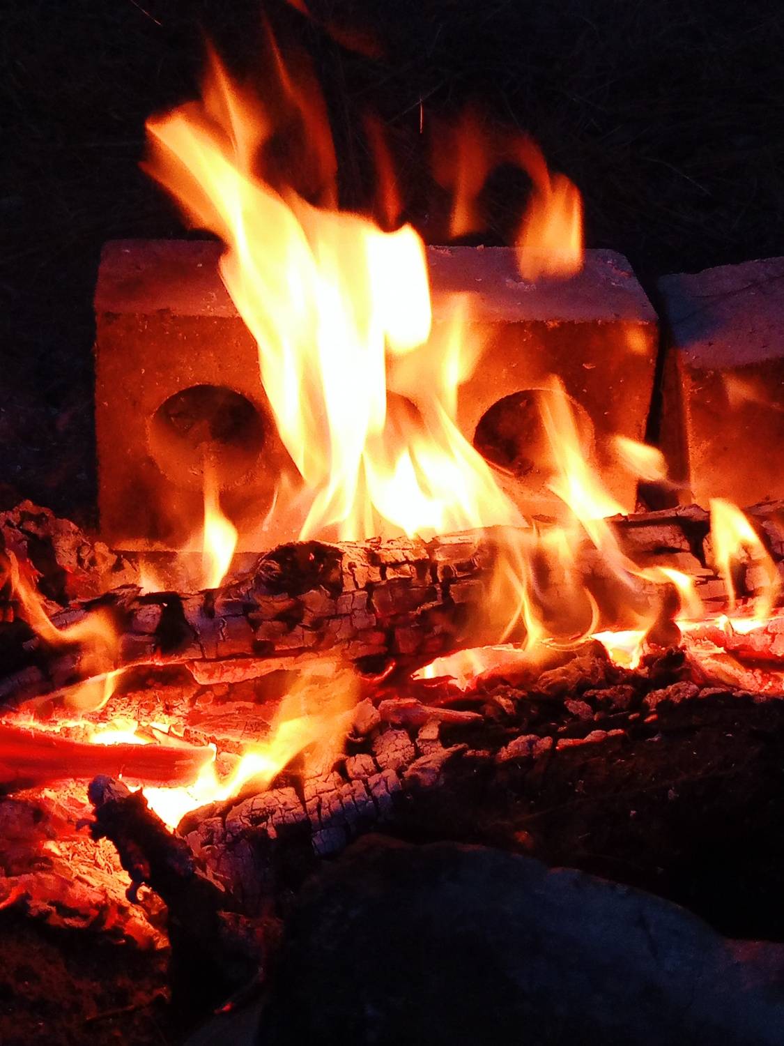 Photo #12003570