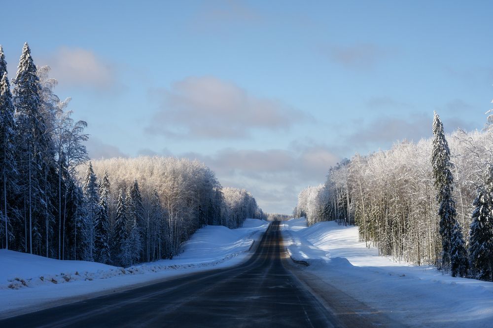 Photograph by Andrey Nuzhdin