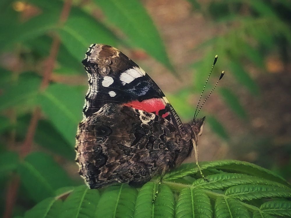 Photograph by Анжелика