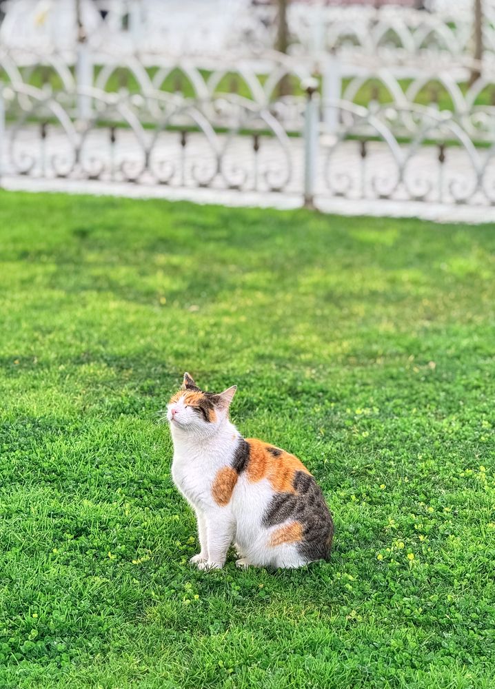 Photograph by Ольга Потачева