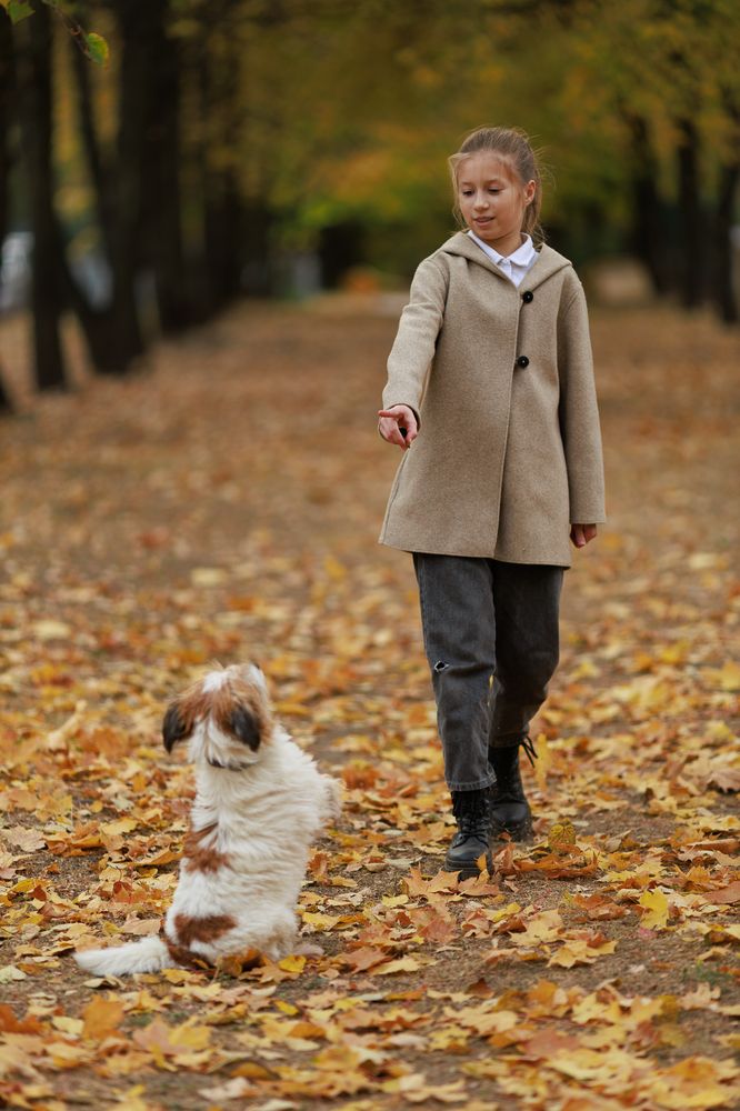 Photograph by Юлия Толстогузова