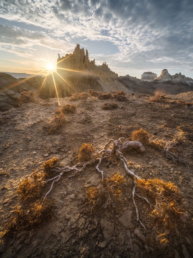 Photograph by Василий Яковлев