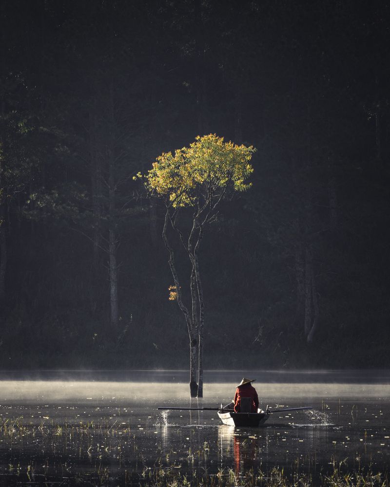 Фотография автора NGUYEN NGOC SON