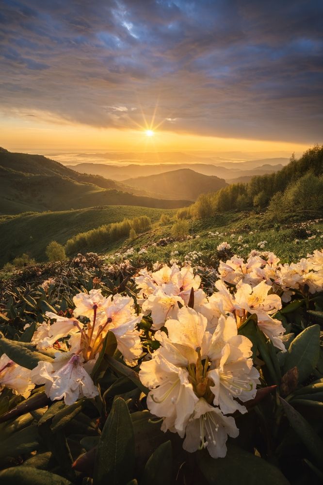 Photograph by Василий Яковлев