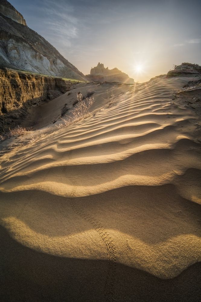 Photograph by Василий Яковлев