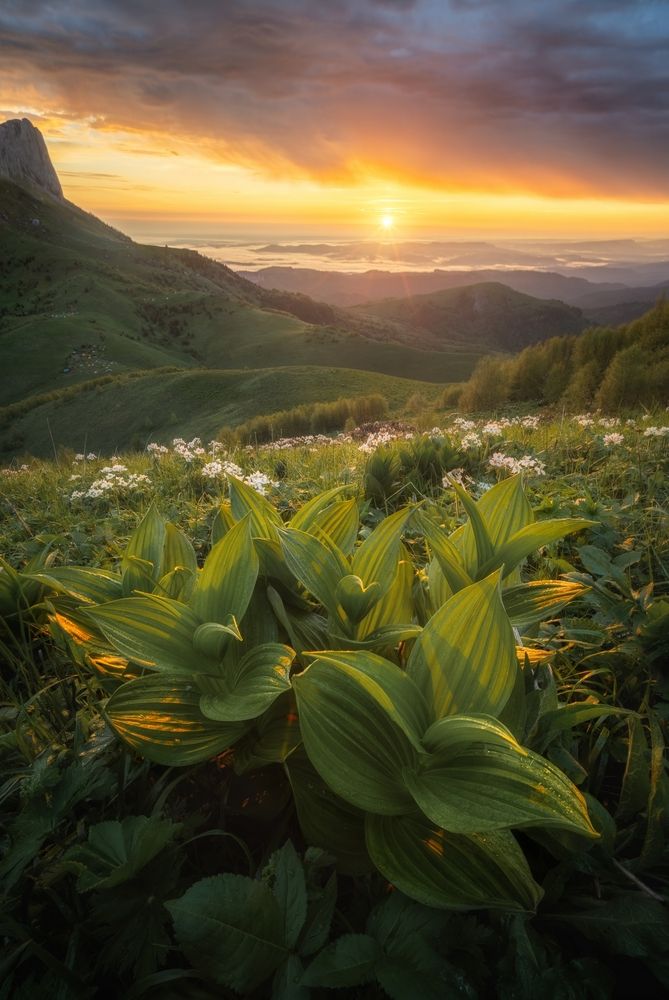 Photograph by Василий Яковлев