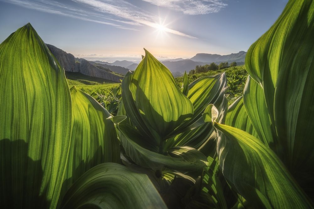 Photograph by Василий Яковлев