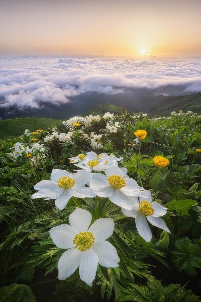 Photograph by Василий Яковлев