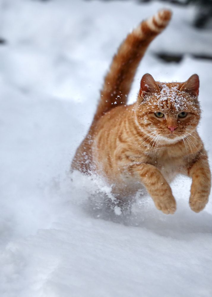 Photograph by Наталья Суслова