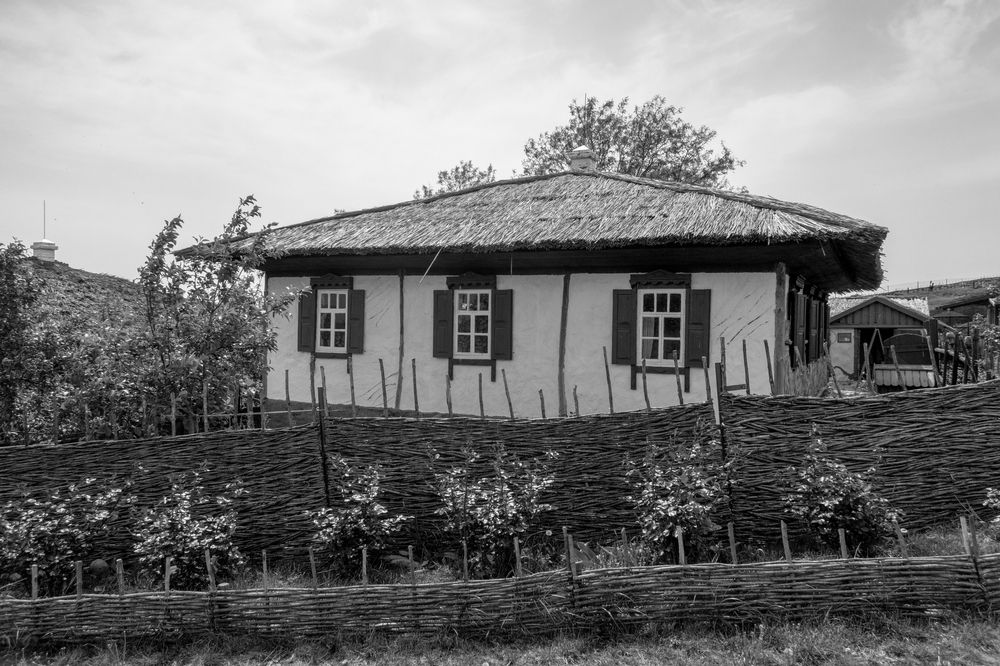 Photograph by Олег Алексеев