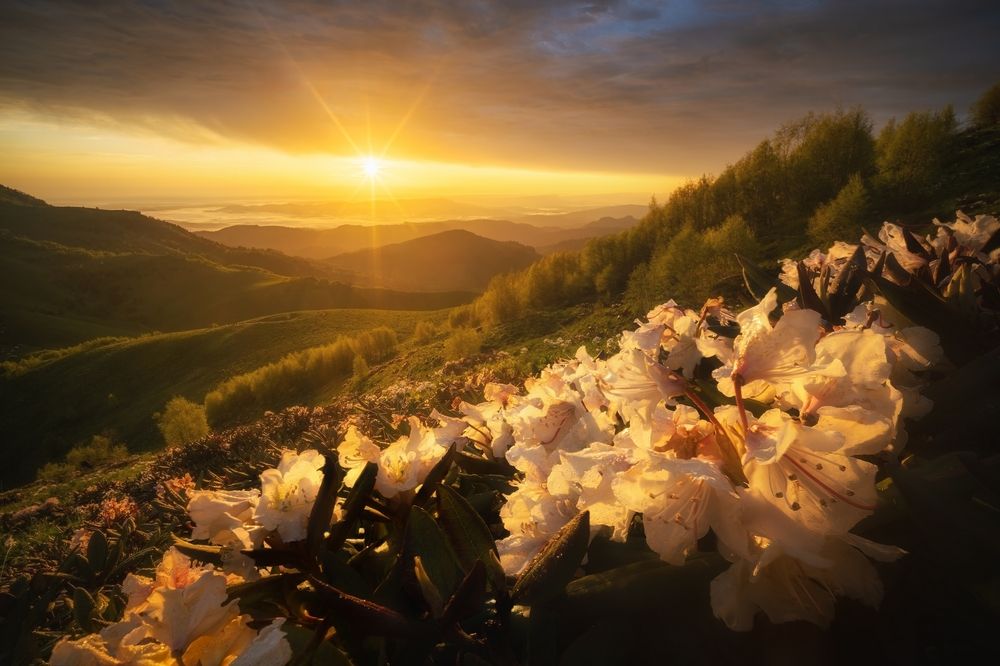 Photograph by Василий Яковлев