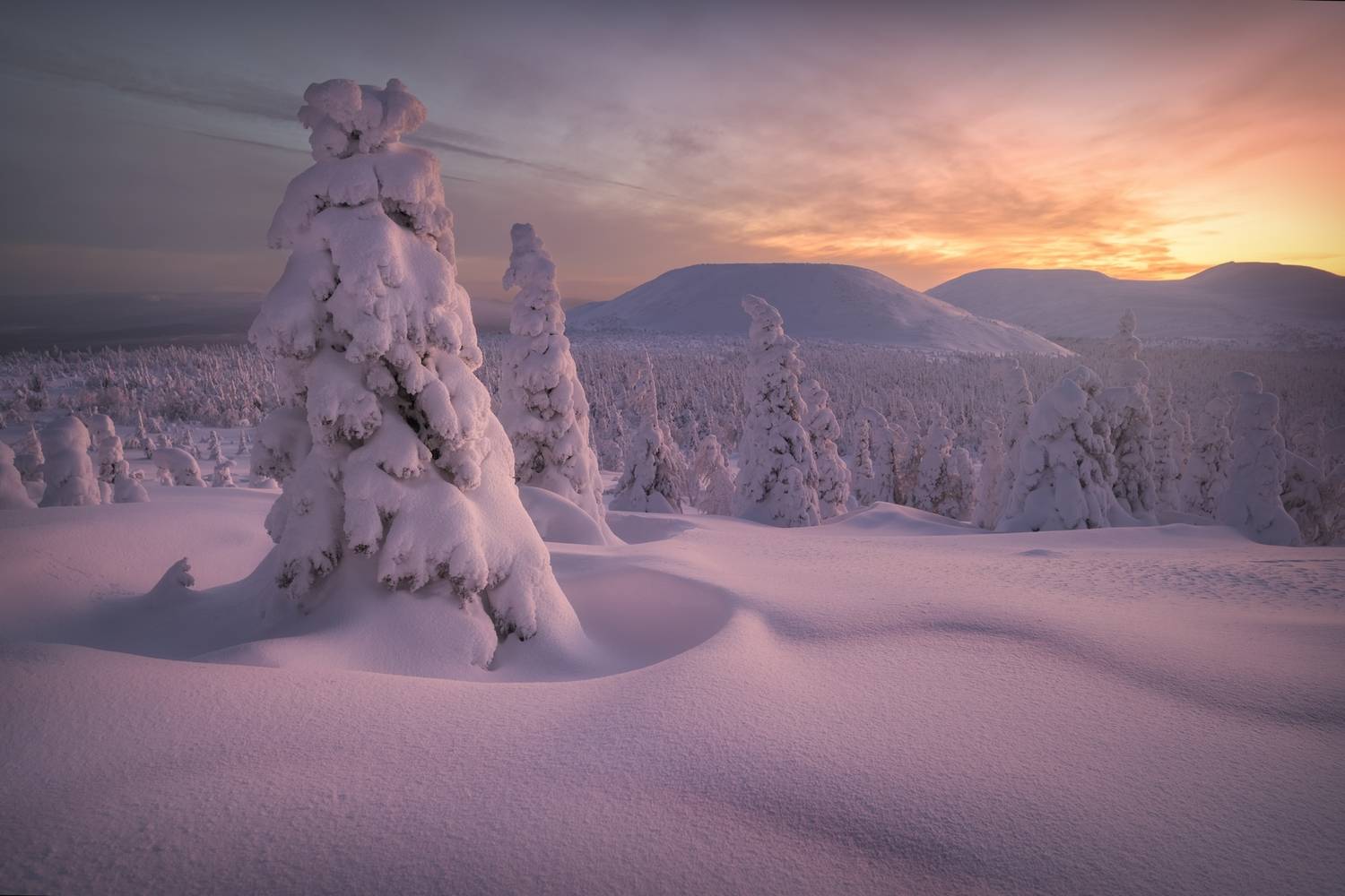 Фотография #12003736