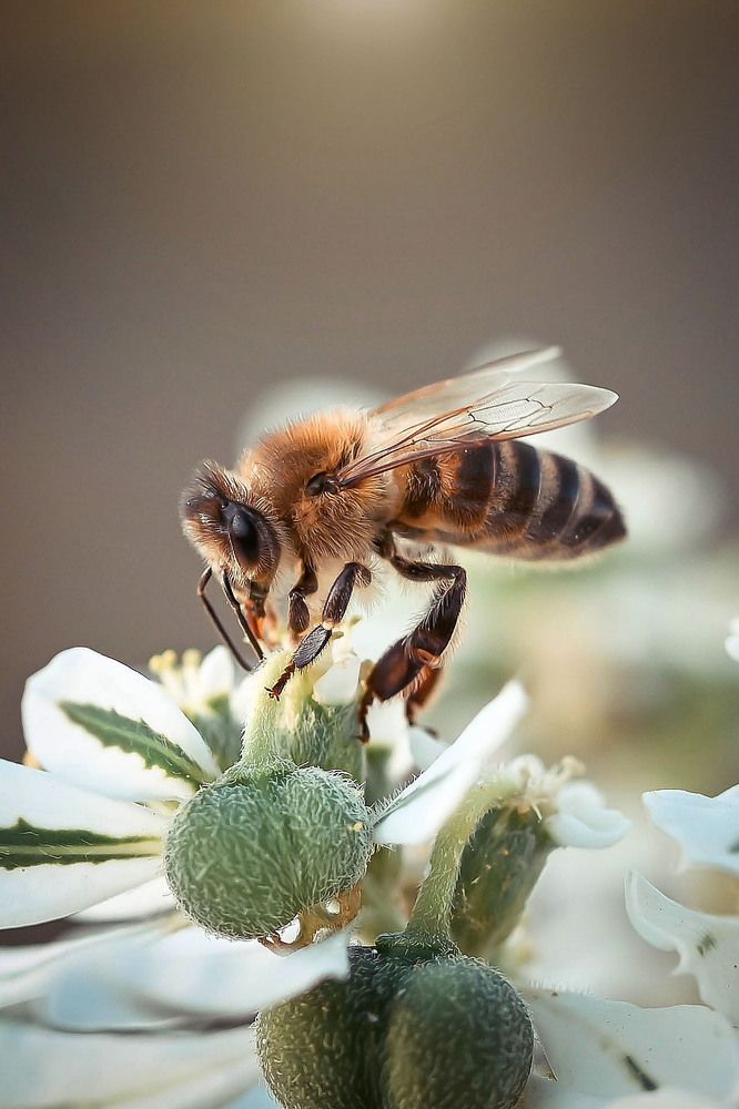Photograph by Нели Арнаудова